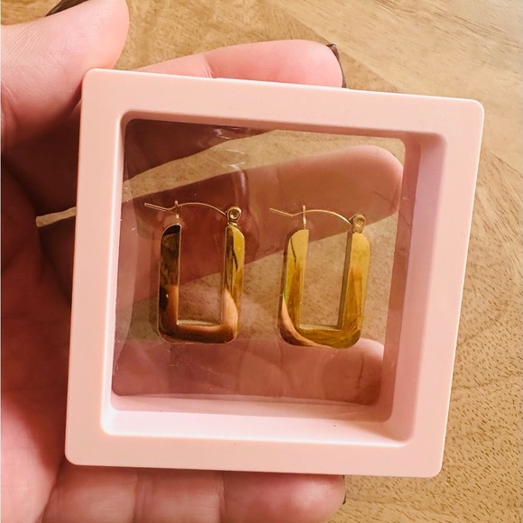 LALA Gold Hoop Earrings in Pink Display Case - Picture 5 of 8
